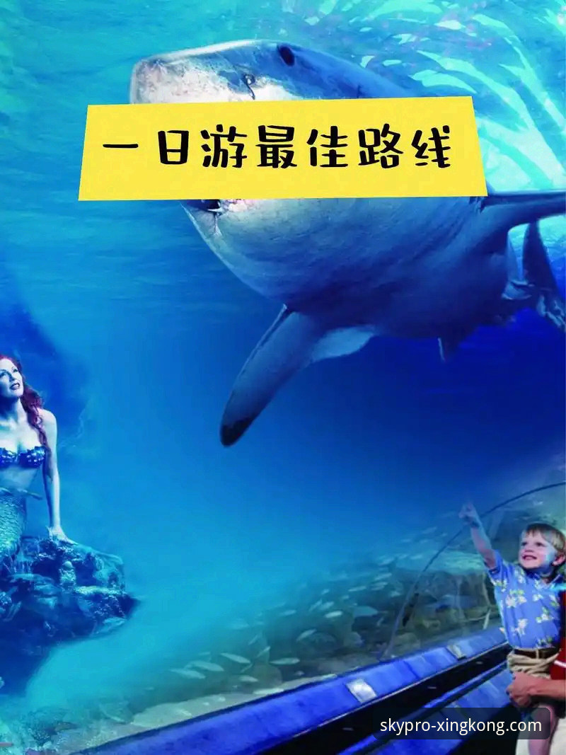 星空体育平台功能全面评测：从注册到体验的深度解析